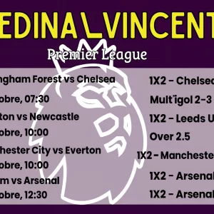 Schedina Vincente – Premier League 18 Ottobre 2025